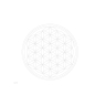Preview: Glastrinkflasche CARRY 1 l FLOWER OF LIFE Preview: Glastrinkflasche CARRY 1 l FLOWER OF LIFE